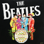 The Beatle Sgt Pepper Painting